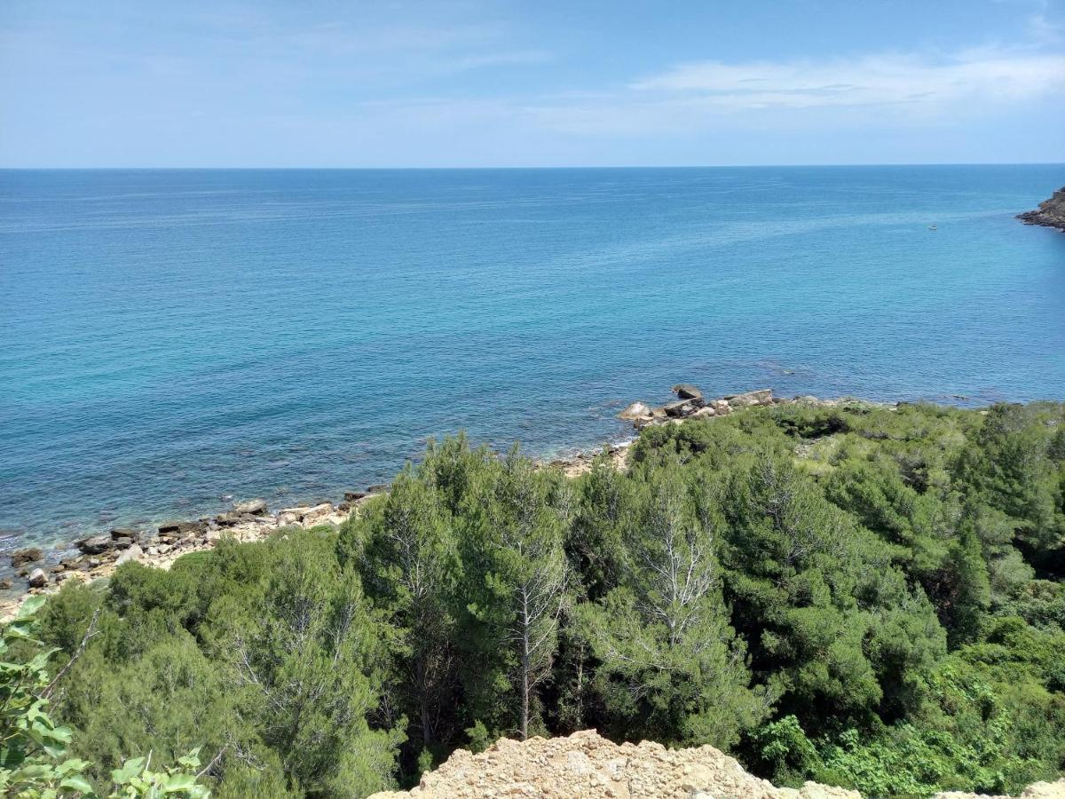 Montauriol  La Pantoufle Verte מראה חיצוני תמונה