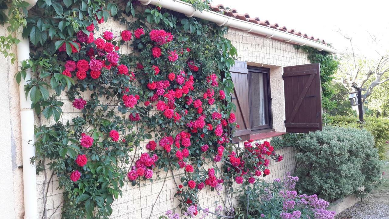 Montauriol  La Pantoufle Verte מראה חיצוני תמונה