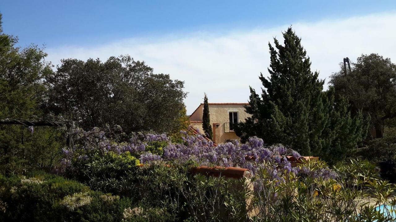 Montauriol  La Pantoufle Verte מראה חיצוני תמונה